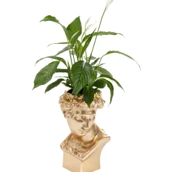 KARE Design Cachepot Décoratif David Dore Outlet