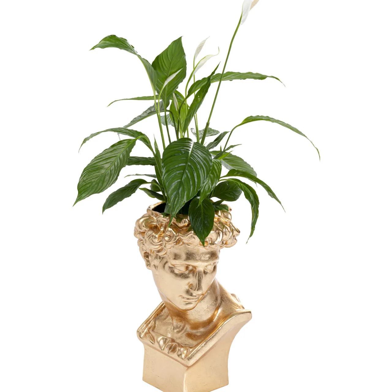 KARE Design Cachepot Décoratif David Dore Outlet