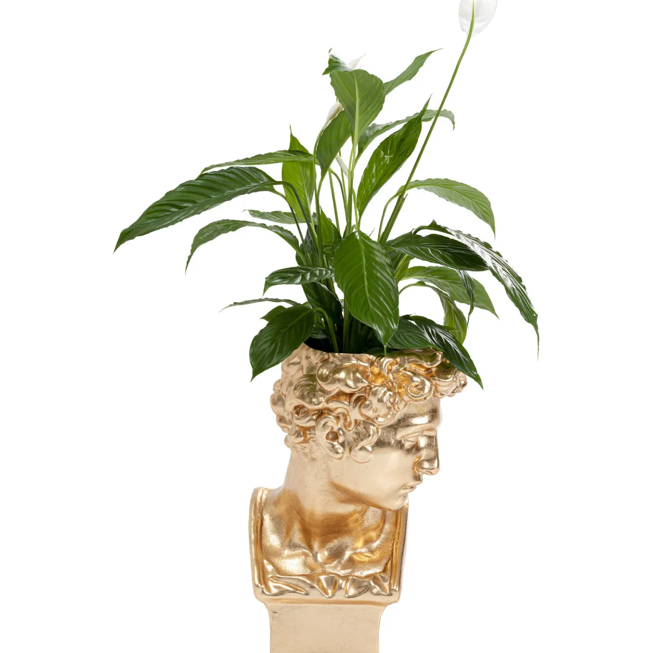 KARE Design Cachepot Décoratif David Dore Outlet
