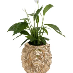 KARE Design Cachepot Décoratif Lion Dore Outlet