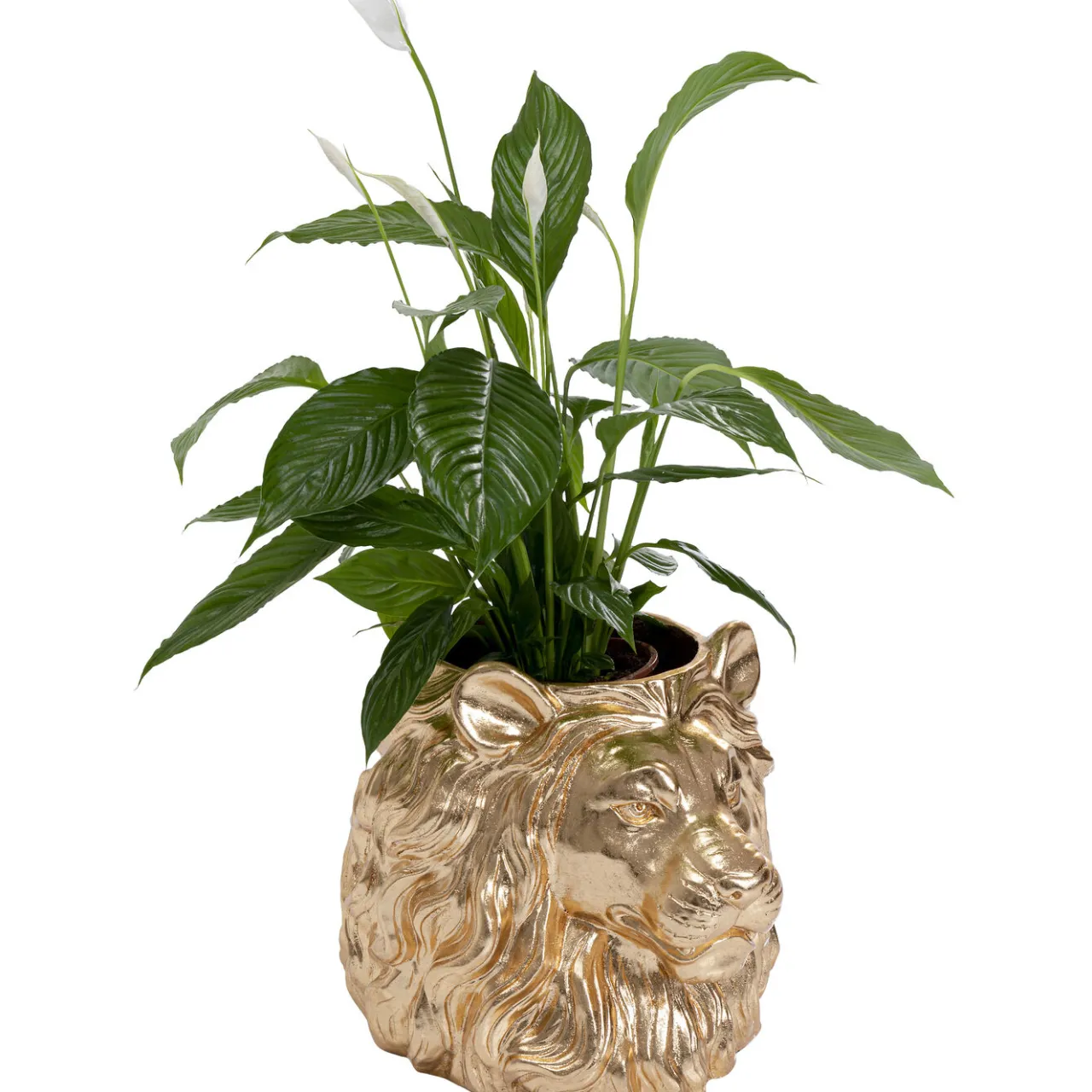 KARE Design Cachepot Décoratif Lion Dore Outlet