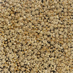 KARE Design Cadre Décoratif Gold Flower 120X120Cm Clearance