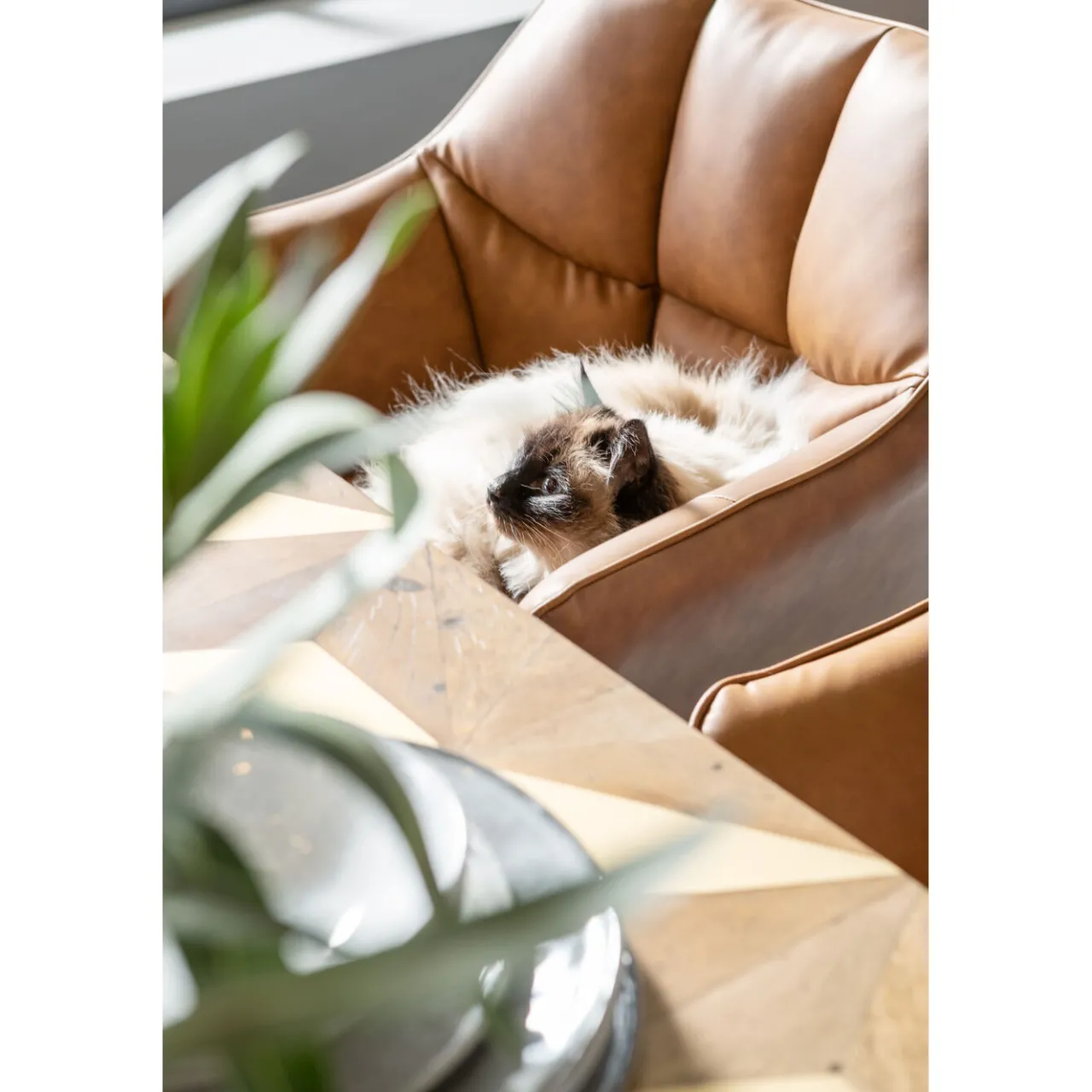 KARE Design Chaise A. Acc. Thinktank Marron Outlet