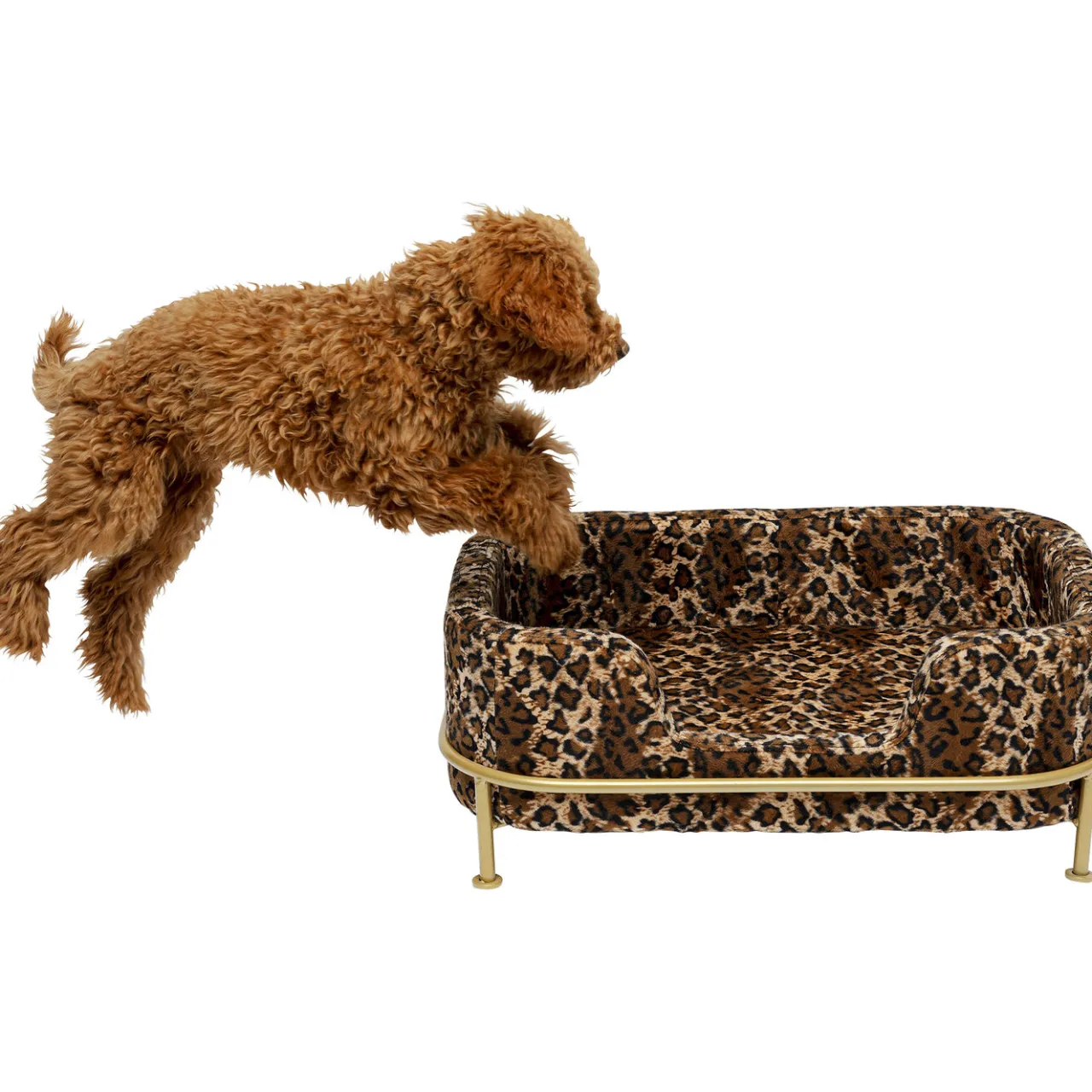 KARE Design Lit Pour Chien/Chat Diva Leo Clearance