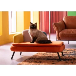 KARE Design Lit Pour Chien/Chat Diva Orange Clearance