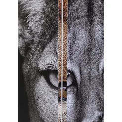 KARE Design Paravent King Lion Vs Cat Girl 120X180 New
