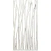 KARE Design Paravent Roots 87X180Cm Online