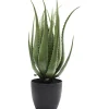 KARE Design Plante Décorative Aloe 69Cm Outlet