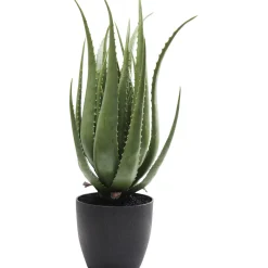 KARE Design Plante Décorative Aloe 69Cm Outlet