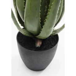 KARE Design Plante Décorative Aloe 69Cm Outlet