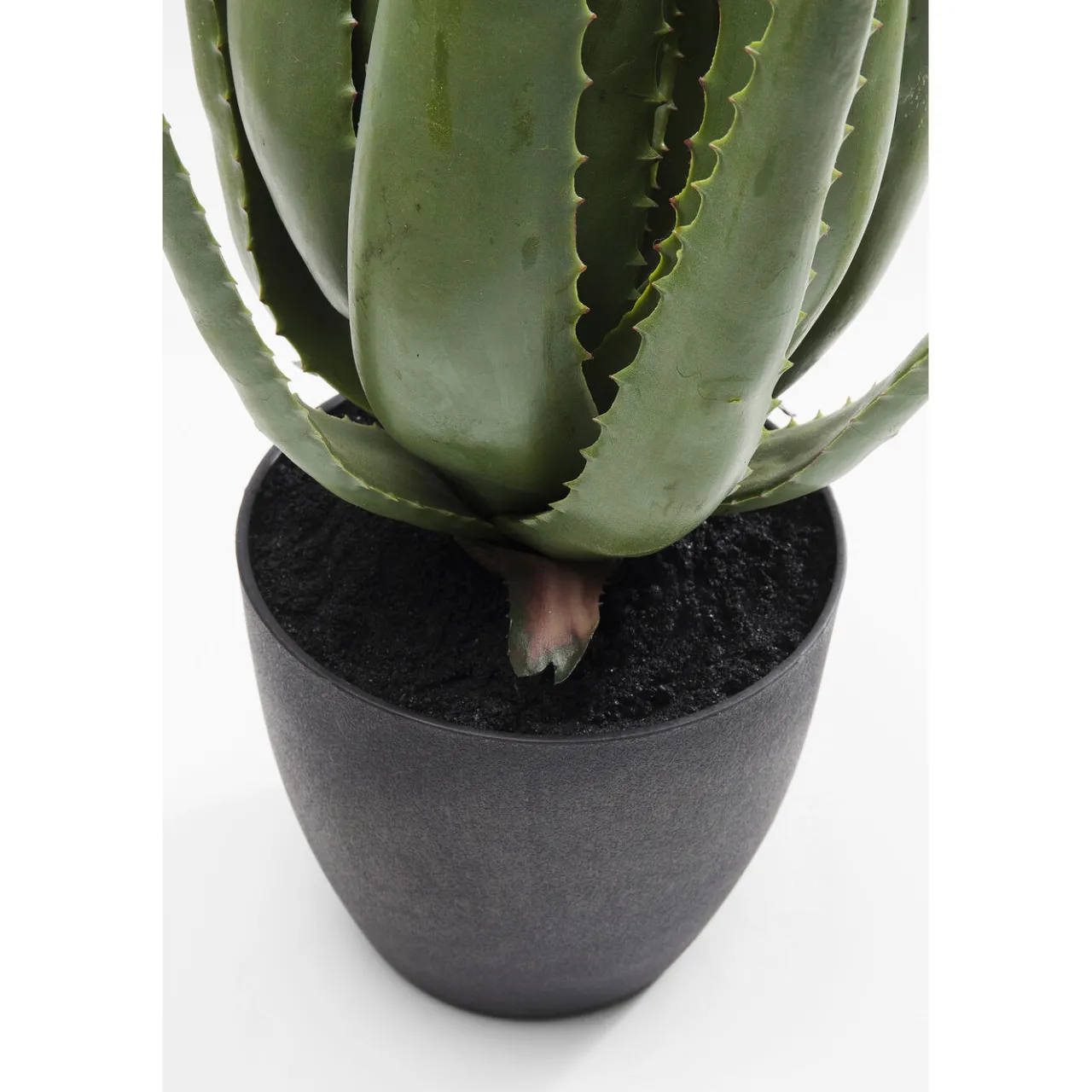 KARE Design Plante Décorative Aloe 69Cm Outlet