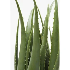 KARE Design Plante Décorative Aloe 69Cm Discount