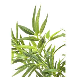 KARE Design Plante Décorative Bamboo Tree 200Cm Outlet