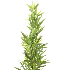 KARE Design Plante Décorative Bamboo Tree 200Cm Outlet