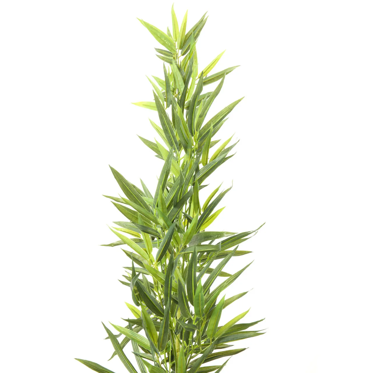 KARE Design Plante Décorative Bamboo Tree 200Cm Outlet
