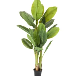 KARE Design Plante Décorative Banana Tree 180Cm Online