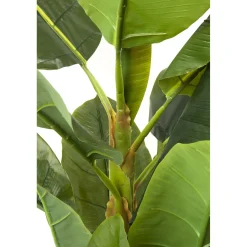 KARE Design Plante Décorative Banana Tree 180Cm Online