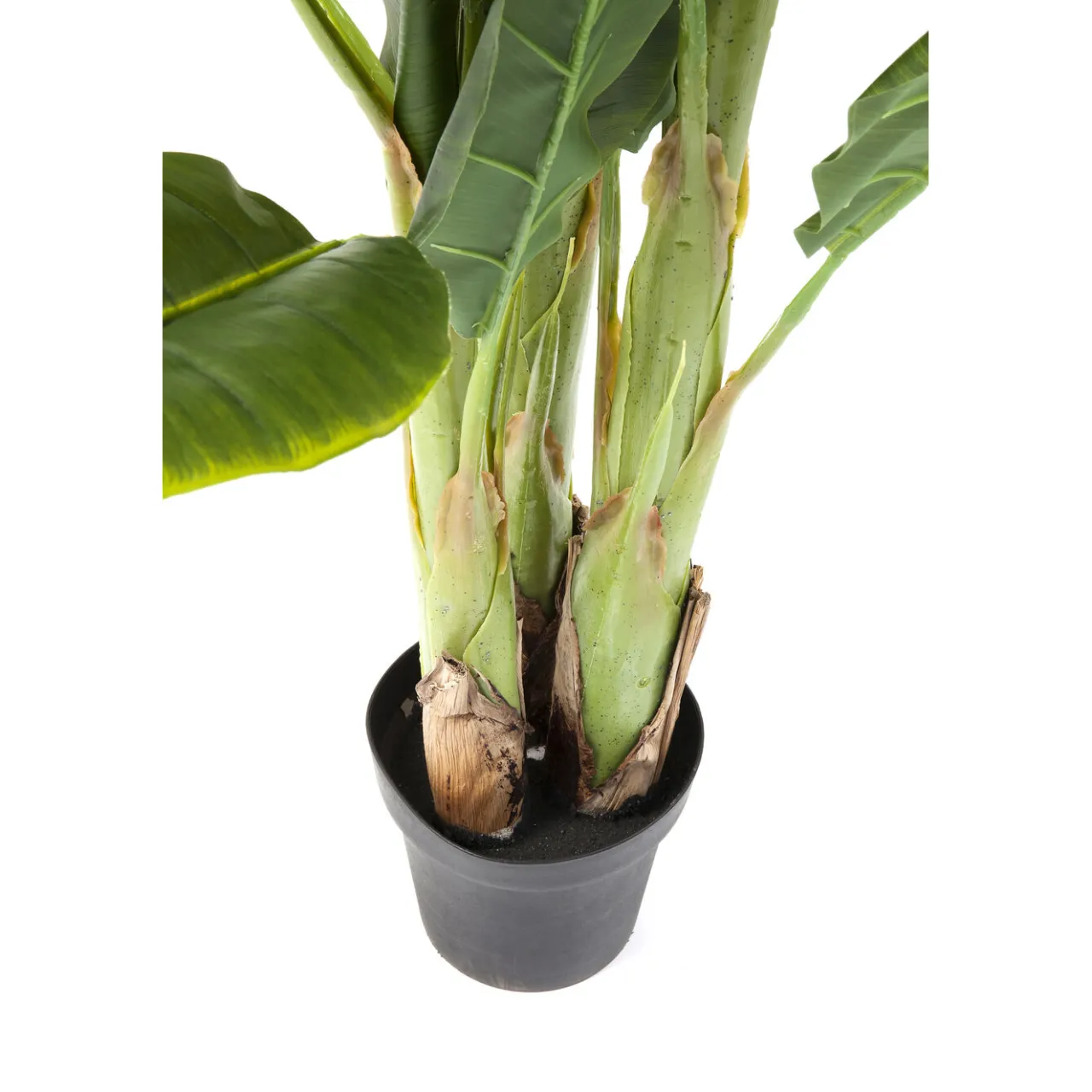 KARE Design Plante Décorative Banana Tree 180Cm Online