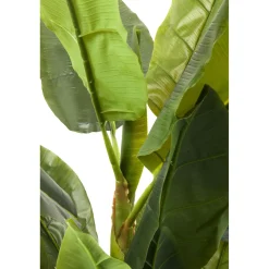 KARE Design Plante Décorative Banana Tree 180Cm Online