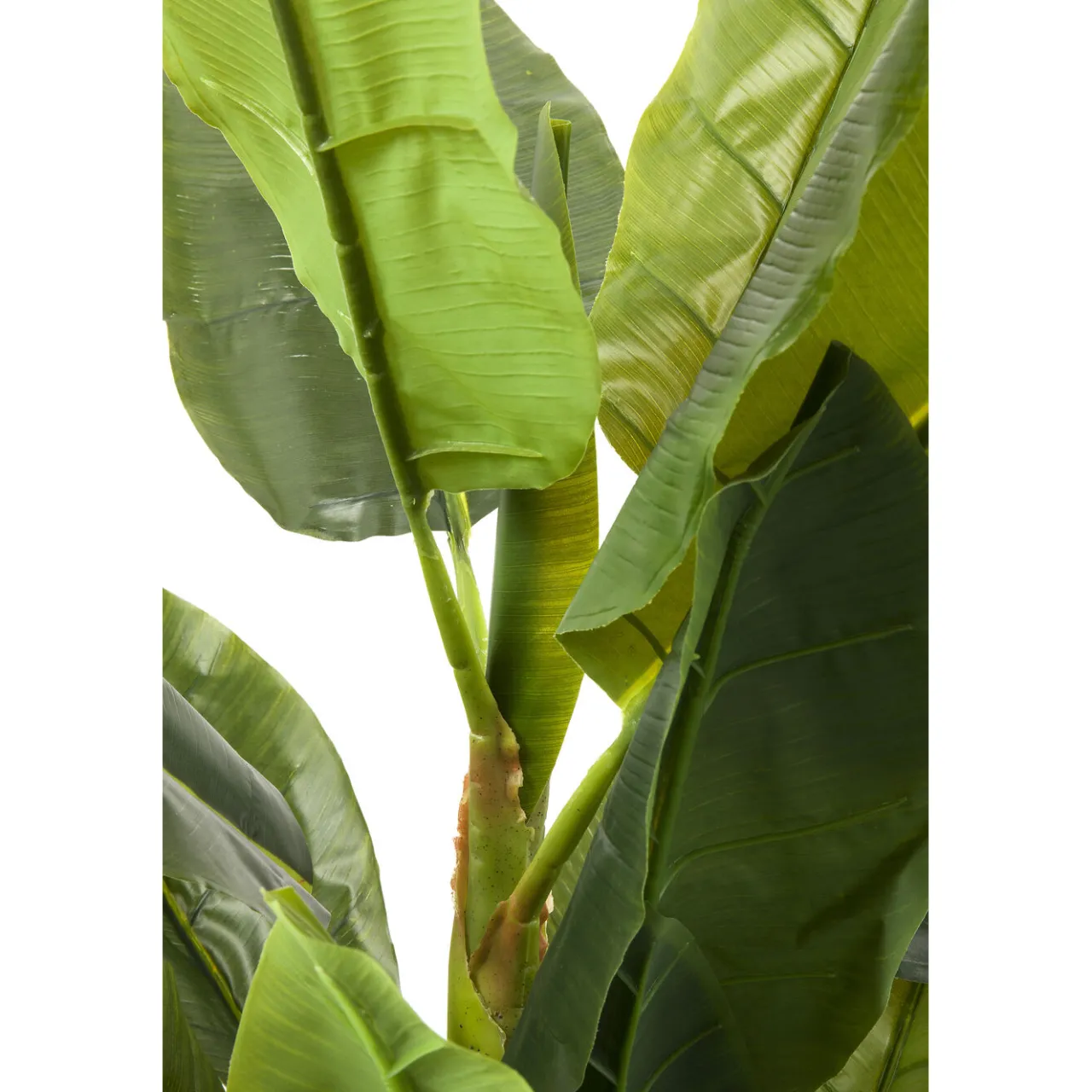 KARE Design Plante Décorative Banana Tree 180Cm Online