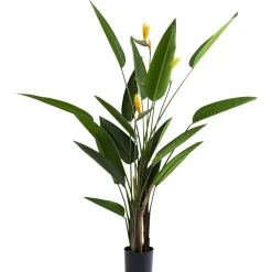 KARE Design Plante Décorative Paradise Flowers 190Cm New