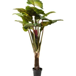 KARE Design Plante Décorative Rainbow Tree 160Cm Online