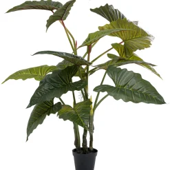 KARE Design Plante Décorative Taro 180 Outlet