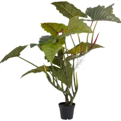 KARE Design Plante Décorative Taro 180 Outlet