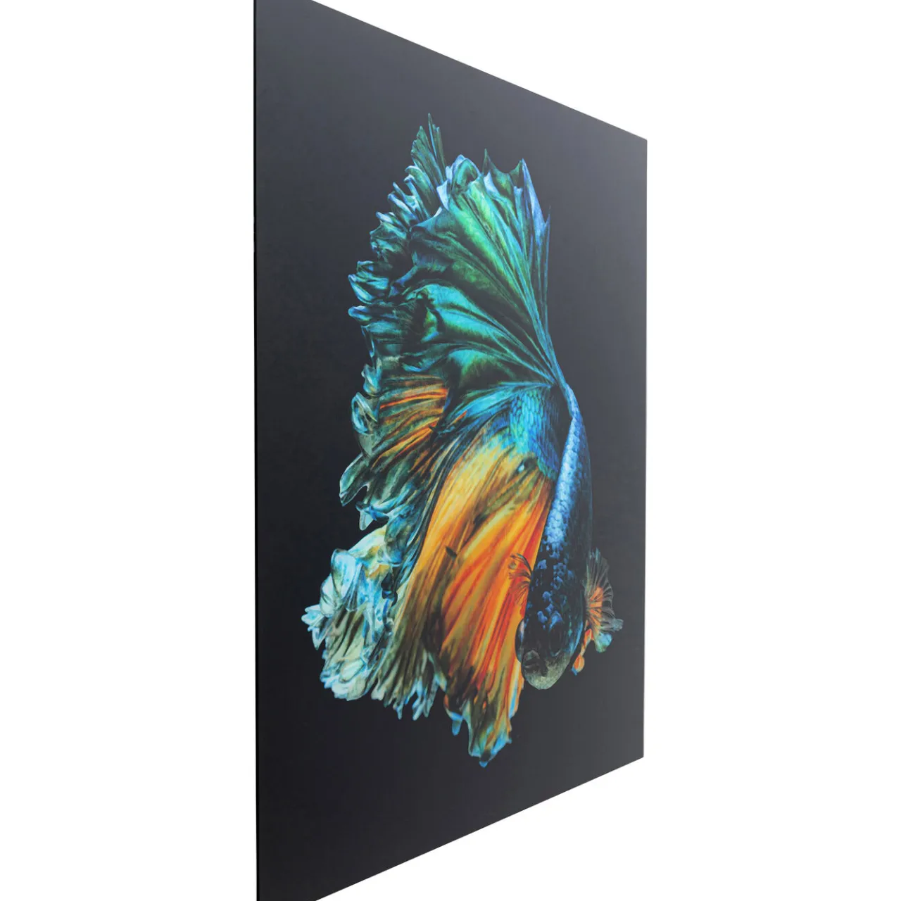KARE Design Tableau En Verre Aqua Queen Fish 100X100Cm Hot