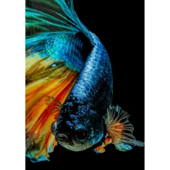 KARE Design Tableau En Verre Aqua Queen Fish 100X100Cm Hot
