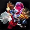 KARE Design Tableau En Verre Colorful Swarm Fish 120X120Cm Online