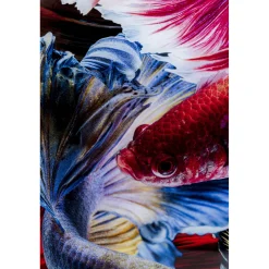 KARE Design Tableau En Verre Colorful Swarm Fish 120X120Cm Online