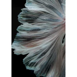 KARE Design Tableau En Verre Colorful Swarm Fish 120X120Cm Online