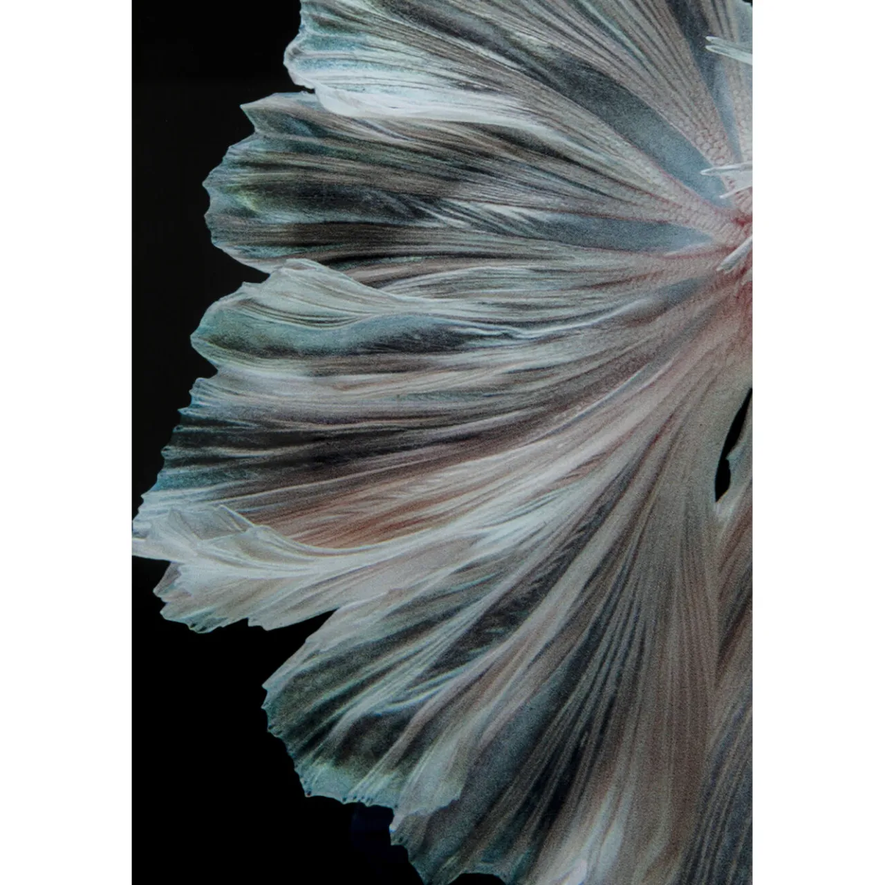 KARE Design Tableau En Verre Colorful Swarm Fish 120X120Cm Online