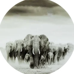 KARE Design Tableau En Verre Elephant Walk O120Cm Clearance