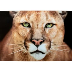 KARE Design Tableau En Verre Lioness 150X100Cm New
